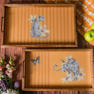 Vanraj Rectangular Tray